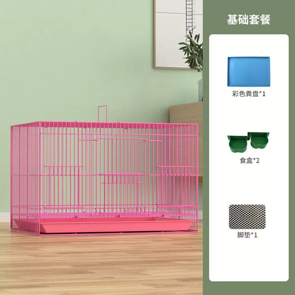 ∑∶◇±〈Pink (for rutin chicken only)∝