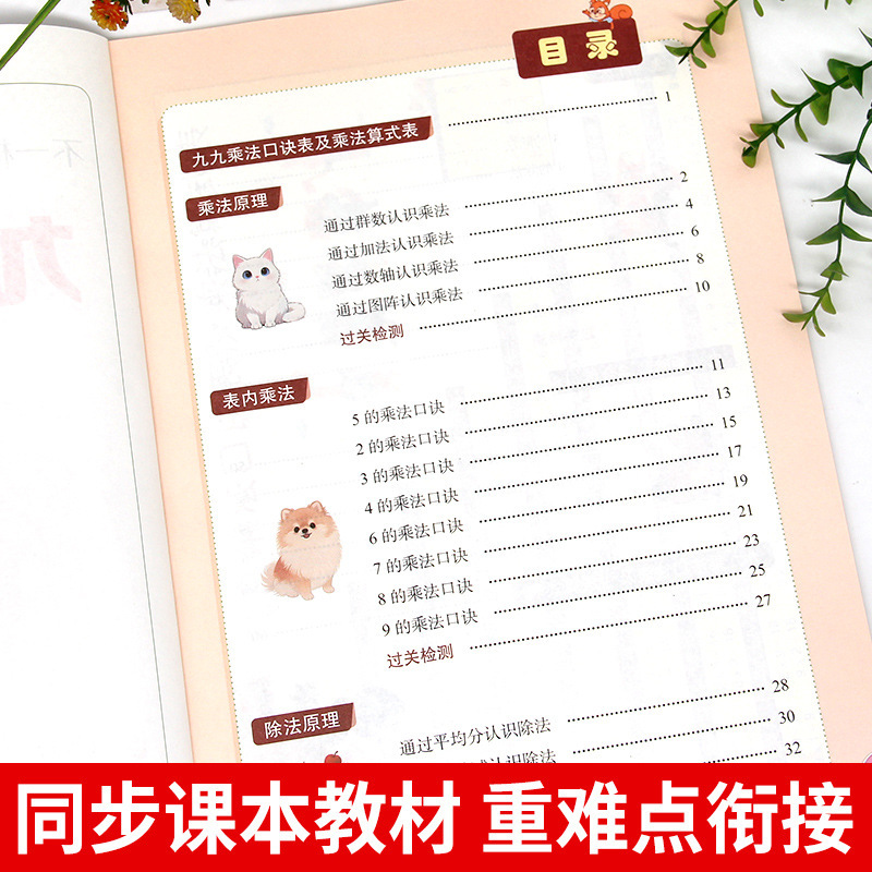 2025新版不一样的九九乘除法数学专项训练表内乘法表内除法书籍|undefined