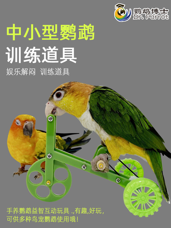 Parrot Toy Training Props Bird Training Supplies Black Phoenix Tiger Skin Peony Bicycle Shooting Trash Can Ring