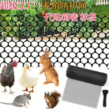 �����Bֳ�W����ƽ�W�W���B�u�����B���Q���ϾWƬ�~�����oȦ�Bֳ�W