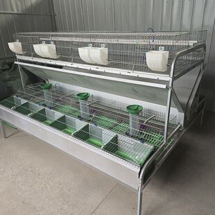 ���ӻ\���Bֳ�����͟���\���I����S�ش�̖�Ӵּ�����ĸ�û\