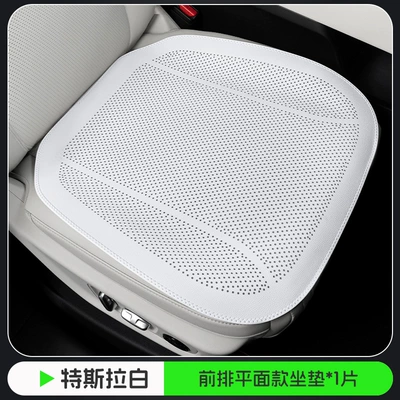 Seat cushion, seat cover – Seat Cushion - tesla-white-flat-punch-model-1-piece-of-front-seat-cushion