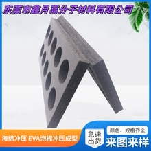 ģ��evaһ�w���͵�̃��r��ײ�p��EVA�_�����̓��� xpe���_�бP�|