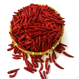 干辣椒