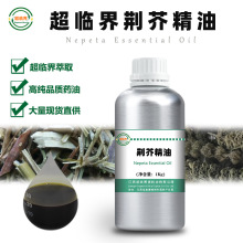 荆芥精油 源头工厂超临界萃取原料 单方脂溶 50ml样
