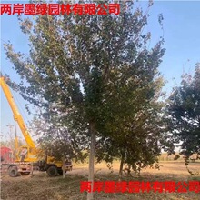 ������Ǘ����� �G�������� �е��G������ Ҏ���Rȫ������Ǘ�