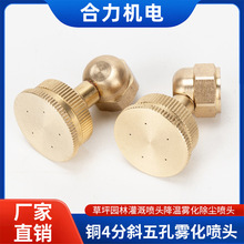 �߉��F���~4�և��^б��׶������r�I���@�������ܽ��؇��F�����