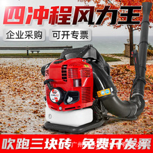 �J����ؓʽ���L�CBBX876�ě_�̴��҉m���I�����~����ɭ�֜��C