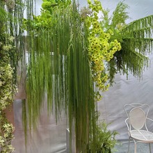 2025¿GֲǧӽJݼٻcY廨bE18