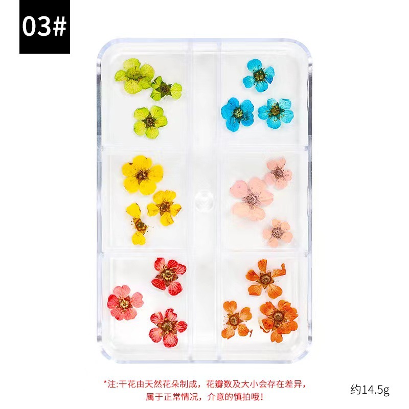 Clavo japonés flor seca traje tridimensional flor estrellada pétalos DIY uñas flor seca pulpa de madera pieza de joyería al por mayor