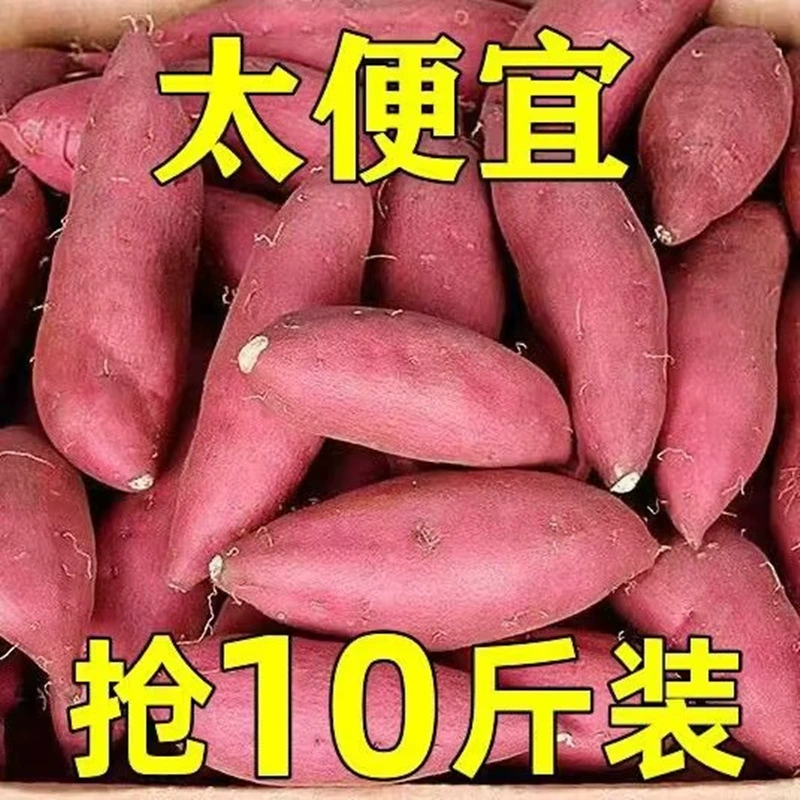 Freshly Dug Chestnut Red Sweet Potatoes, 5kg Seasonal Sweet Potatoes, Sugar Heart Sandy Watermelon Red Sweet Potatoes, 5-Smoked Sweet Potatoes
