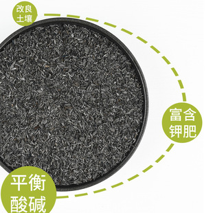 ?����̿���r�Ҳ�ľ�ҹȚ�̼�N�˶����B����������|��Ȼ�ЙC