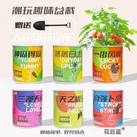 Tide Play Дети Посадка Подсолнуха в Горшке Четыре сезона Консервированный Наблюдательный Рост Детский сад Студенческий подарок Маленькое растение в горшке