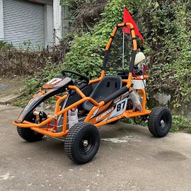 沙滩车;其他电动车;平衡车