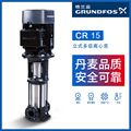 Grundfos/格兰富立式高压泵工业多级电动抽油抽水泵CR15