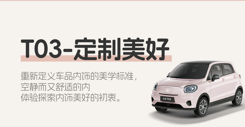 2024 Zero Run T03 Special Car Seat Cover 200 Light Enjoy Edition 310 Enjoy Zero Run t03 Four Seasons Full Package Cushion
