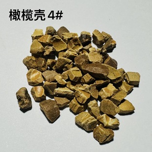 Olive Shell Abrasive #4