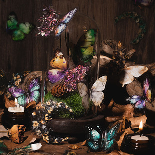 Star Moon Butterfly series Beautiful Day PET stickers butterfly collage retro Journal decorative material stickers 8