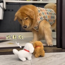 ��ͯ��߷�����߹���늄�ë�q�l��ż����·�uβ���H�ӻ��ӹ���