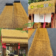 éݵ̺ʽxȼëƺbƤSֱN