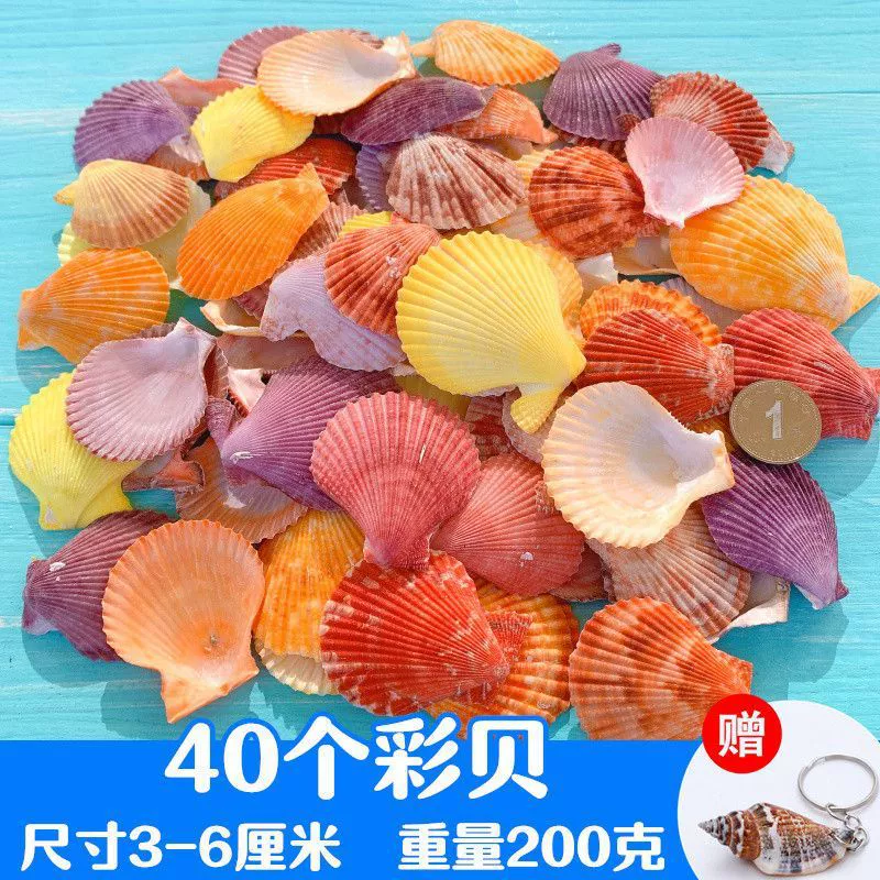 Aquarium decor, materials set for swimming, starfish