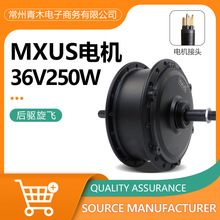 mxusAη ɽ܇b늙C36V 250WoˢXw݆ݞ늙C
