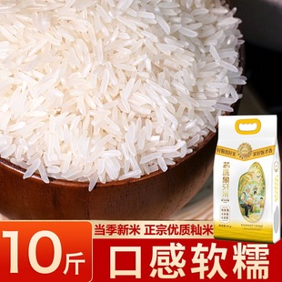 ������о�x������ 10���b ���� �z���� �Ϸ��i�� ��������� ����