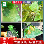 批发水果套袋束口育种草莓桃子专用套袋园艺果园防鸟尼龙防虫网袋