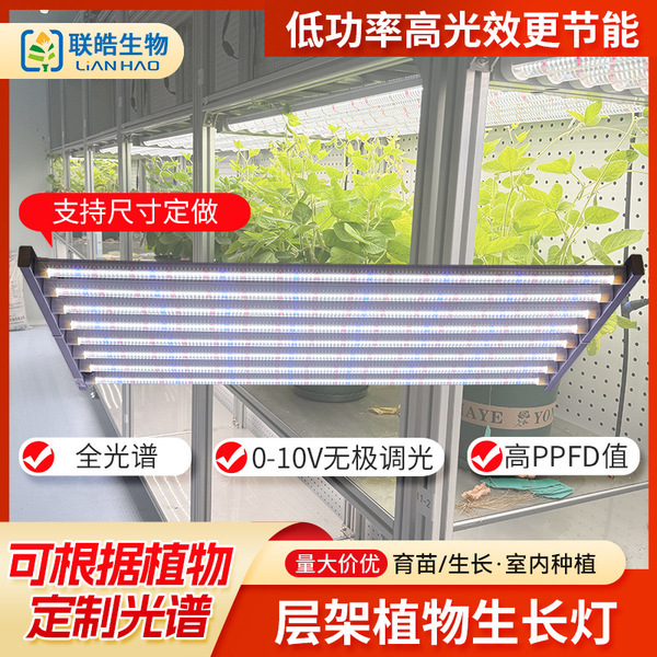 Plant lamp