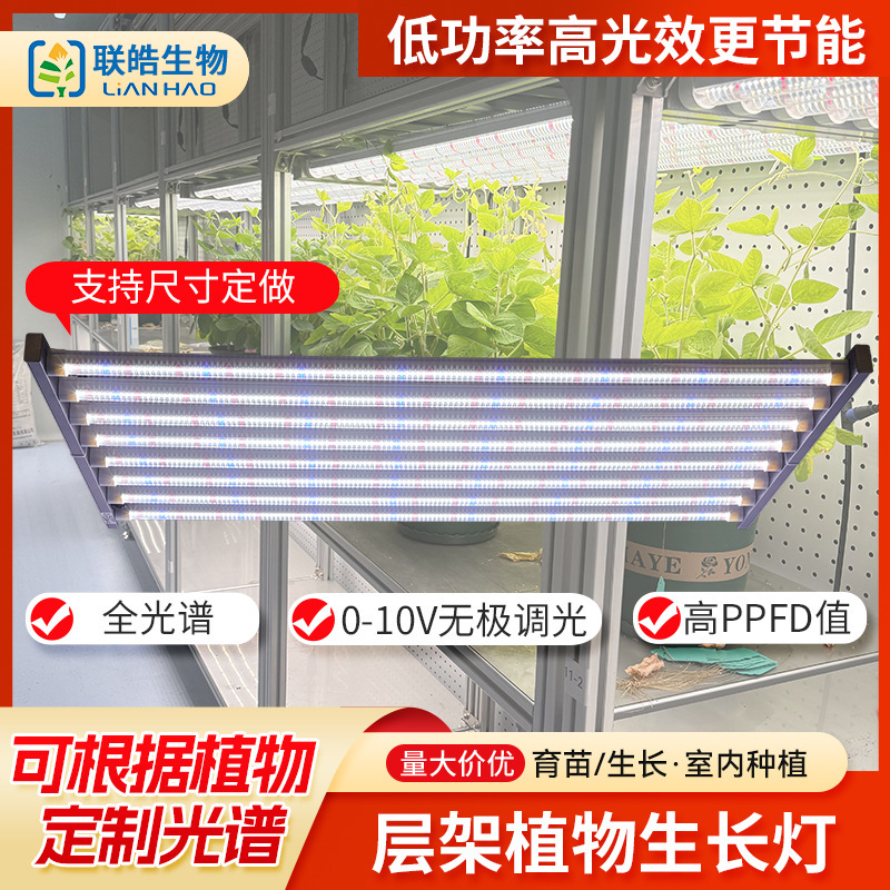 Plant lamp