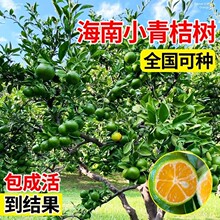 С�������纣�������ˮ�������Ϸ������NֲͥԺ��������ļ��Y��