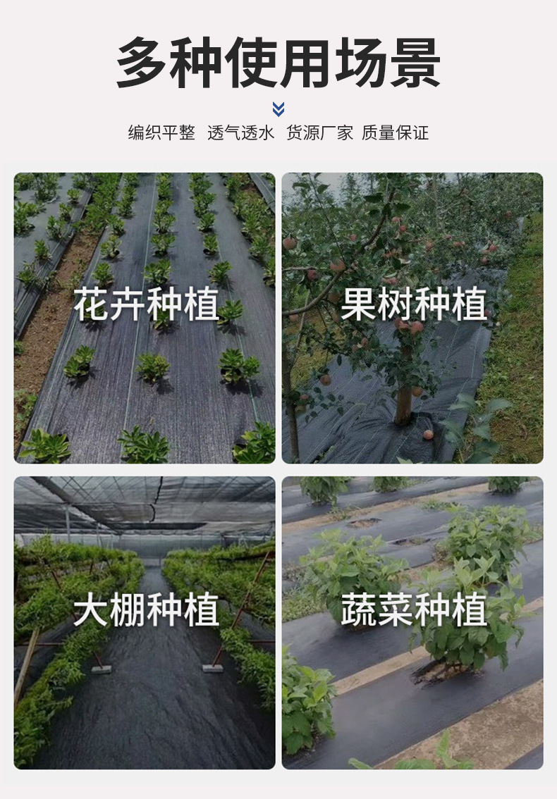 未标题-1_11.jpg