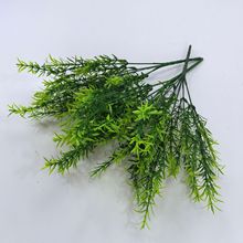 �羳����Gֲ5�����ϲ��F���Ե�����~�ݲ�˹ާ�ȼ��������b�