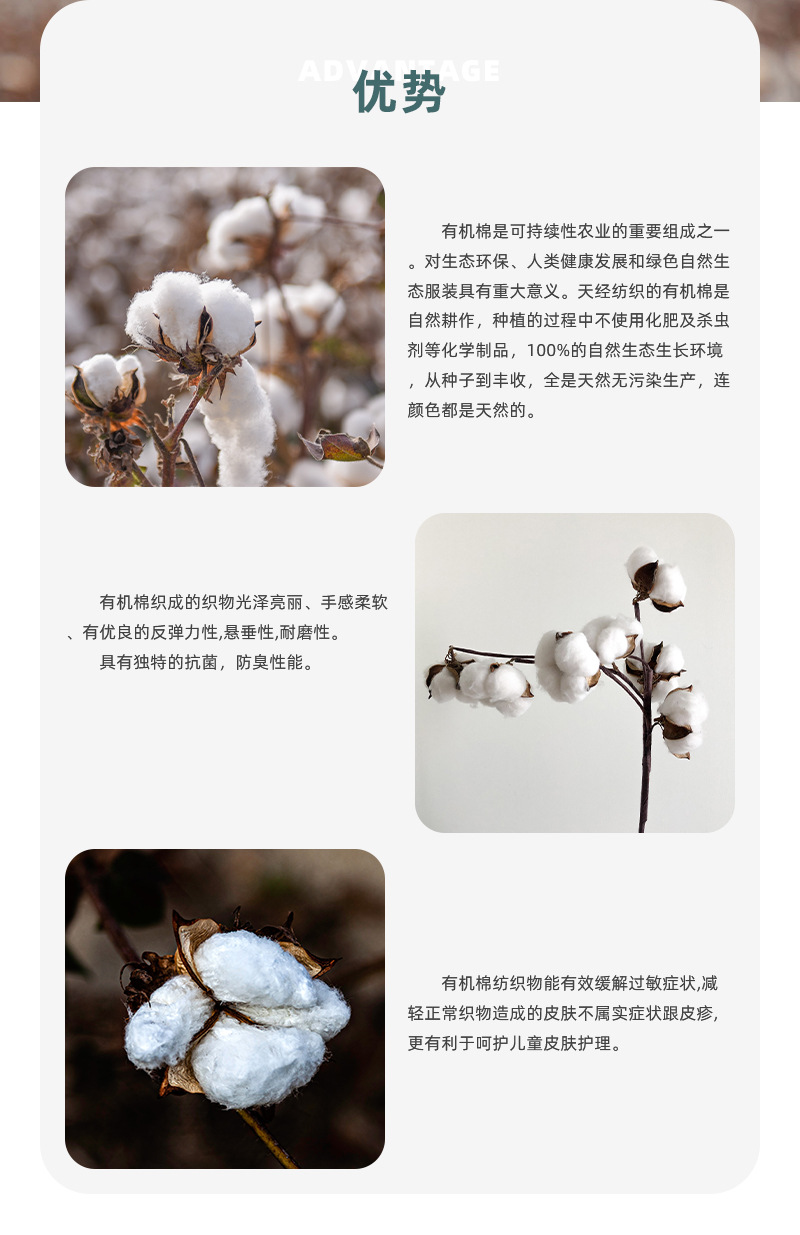 A+有机棉_02.jpg