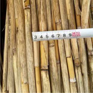 Reed Pole with Skin Large Diameter Degradable Reed Pipe Hotel Homestay Ceiling Decoration Material Can Cut Reed Pole