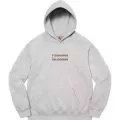 Gray fleece