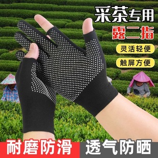 New Fishing Gloves Winter Waterproof Anti-Slip Men and Women Working Exposed Two-Finger Labor Protection Gloves Wear-Resistant Anti-Slip Line Gloves