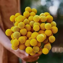 򻨷Nļ׷N҃ͥԺ̨׻Ըɻлl