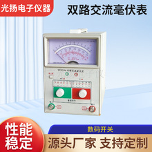 指示灯标识双路交流毫伏表精准电源编码双路精测仪电测电子