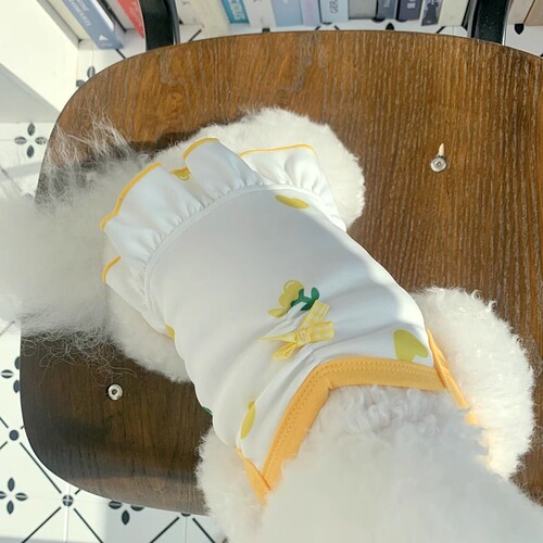 Puppy clothes printed with hearts, waist-cinching suspender dress, Teddy Bichon small dog pet clothes