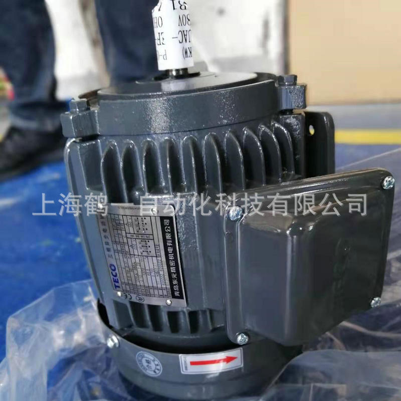 东元变频马达/东元变频电机/TECO变频马达/TECO变频电机