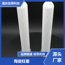 陶瓷柱塞式泵 來圖來樣生產 異型開發 一件批發 及鋒