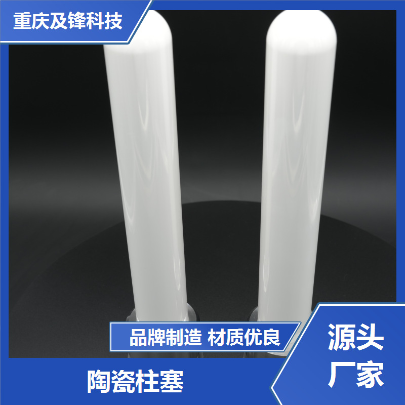 陶瓷柱塞式泵 来图来样生产 异型开发 一件批发 及锋