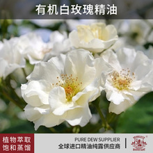 ���������a�^1ml�ЙC��õ�徫���M���ЙC����ԭ�Ͼ����o�wԴ�^