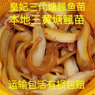 ����һ�������~�������X�~������T�~�������X�~��ʭ�~���w��ˮ