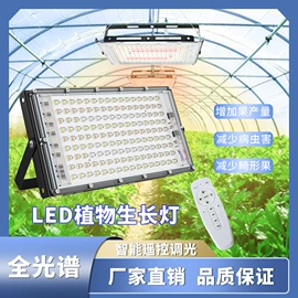 贴片式LED;植物生长灯;其他专用灯具