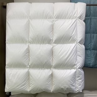Big 95 White Goose Down Winter Thickened Warm Down Quilt Core Winter Double Heat Storage Insulation Quilt Winter Quilt