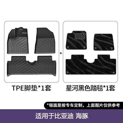 Mats, Trunk Mats Wholesale, Modelə uyğun ayaqaltı - 21-25-byd-dolphin-double-layer-floor-mats-galaxy-blanket