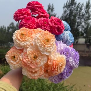 ����9�^���������S�����l �羳 ��c���žӼ��bƵ겼������