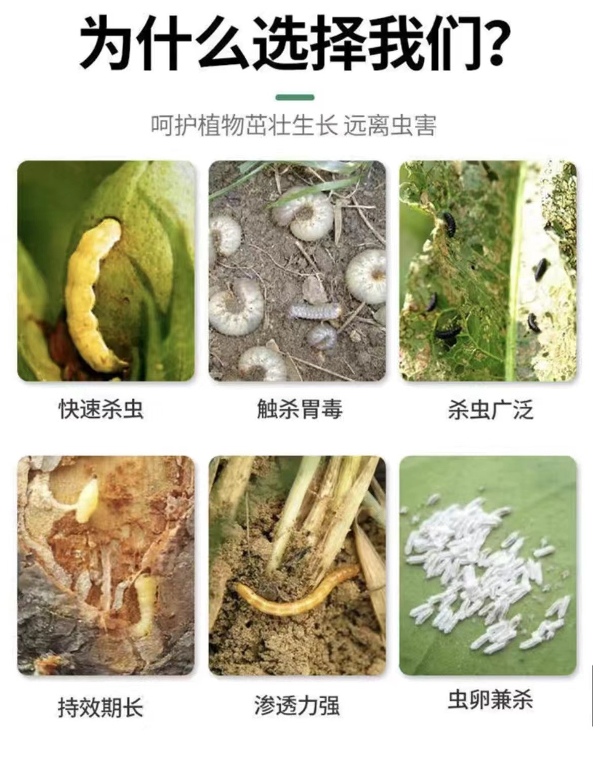 8d24528a3fe4238fb7a6135a2d4687